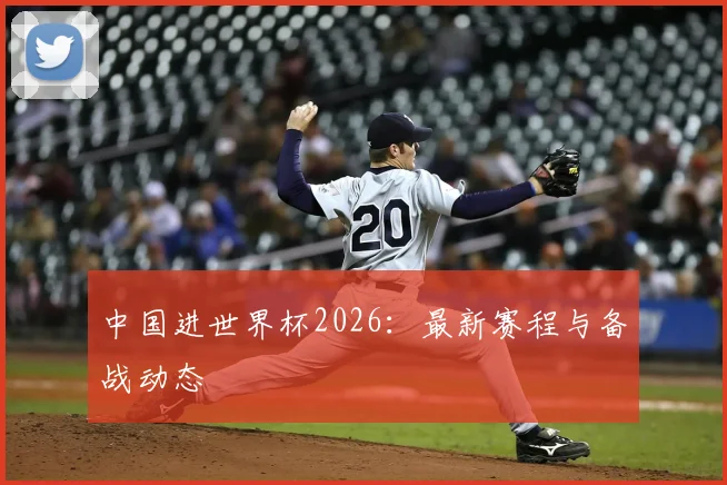 中国进世界杯2026：最新赛程与备战动态