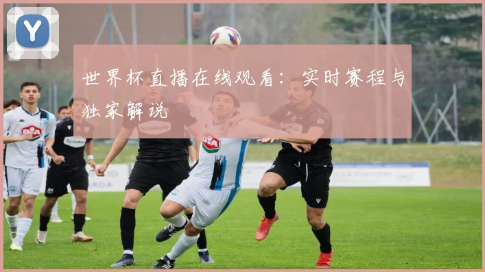世界杯直播在线观看：实时赛程与独家解说