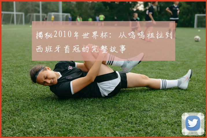 揭秘2010年世界杯:从呜呜祖拉到西班牙首冠的完整故事