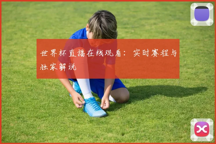 世界杯直播在线观看：实时赛程与独家解说